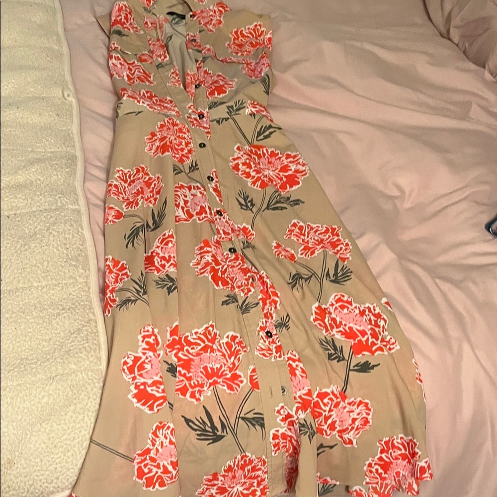 Banana Republic Beige and Red Floral Maxi Dress